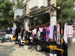 宜兴事件爆料最新情况